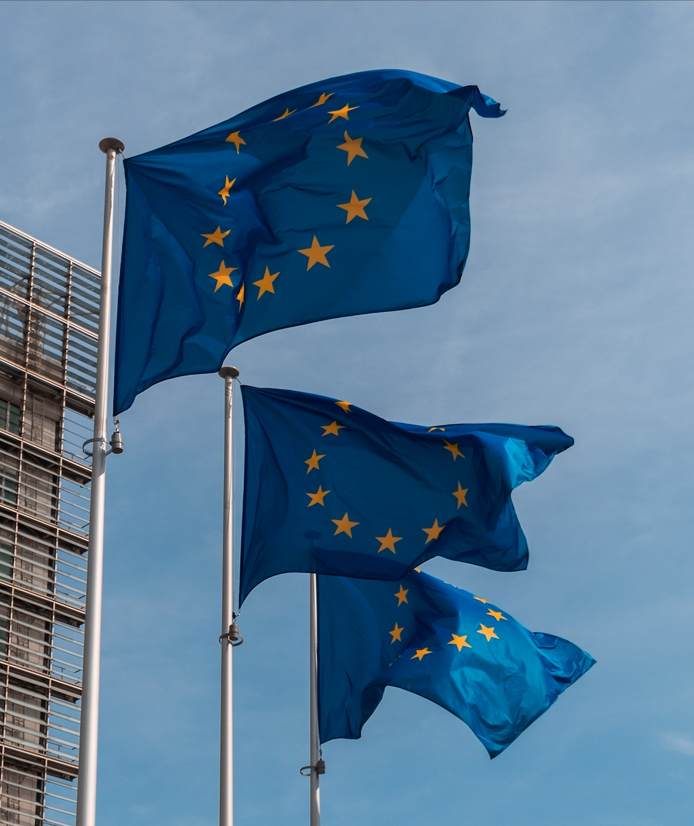 EU in Global Affairs : Constrained Ambition in an Unpredictable World ?
