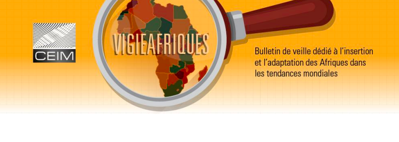 Centre d'analyse et de prospective sur les Afriques (CAP-Afriques)