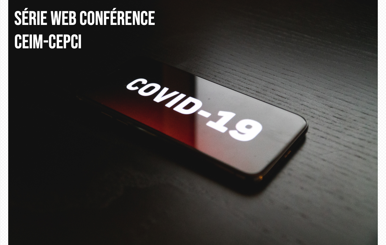 Web conférence « La mondialisation face à la crise » #5