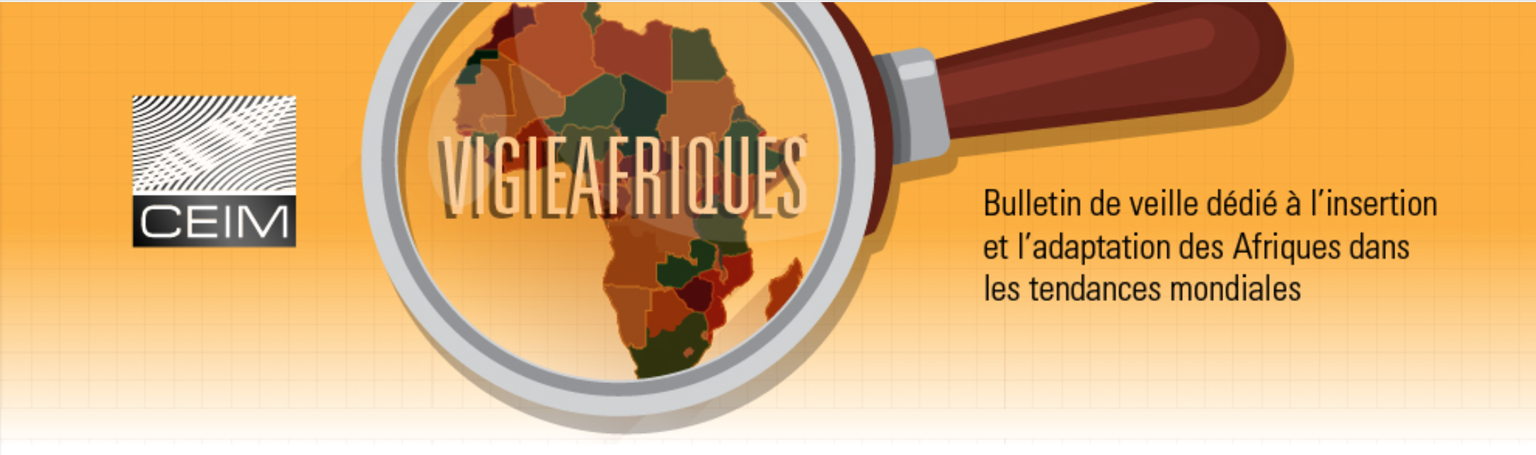 Souveraineté numérique, intelligence artificielle et révolution quantique : Où en est l'Afrique dans la globalisation de troisième vague ?