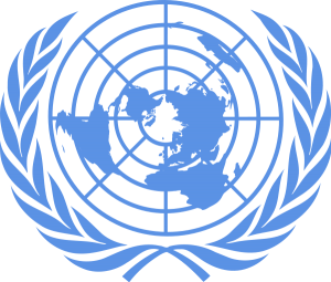 L'ONU : Les défis de demain