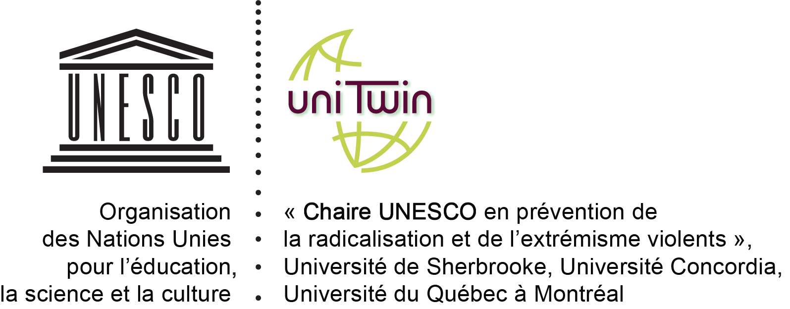 Perspectives de la relève en recherche sur les enjeux internationaux