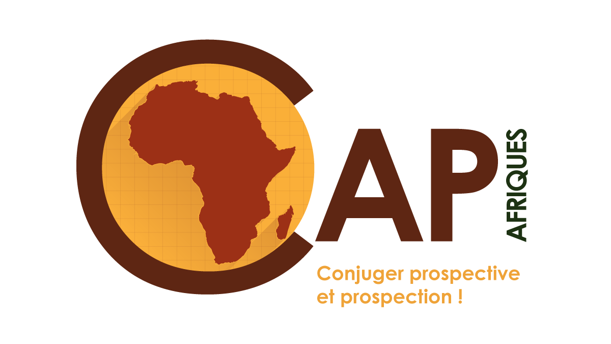 Appel à propositions | L'État dans les Afriques : État des lieux