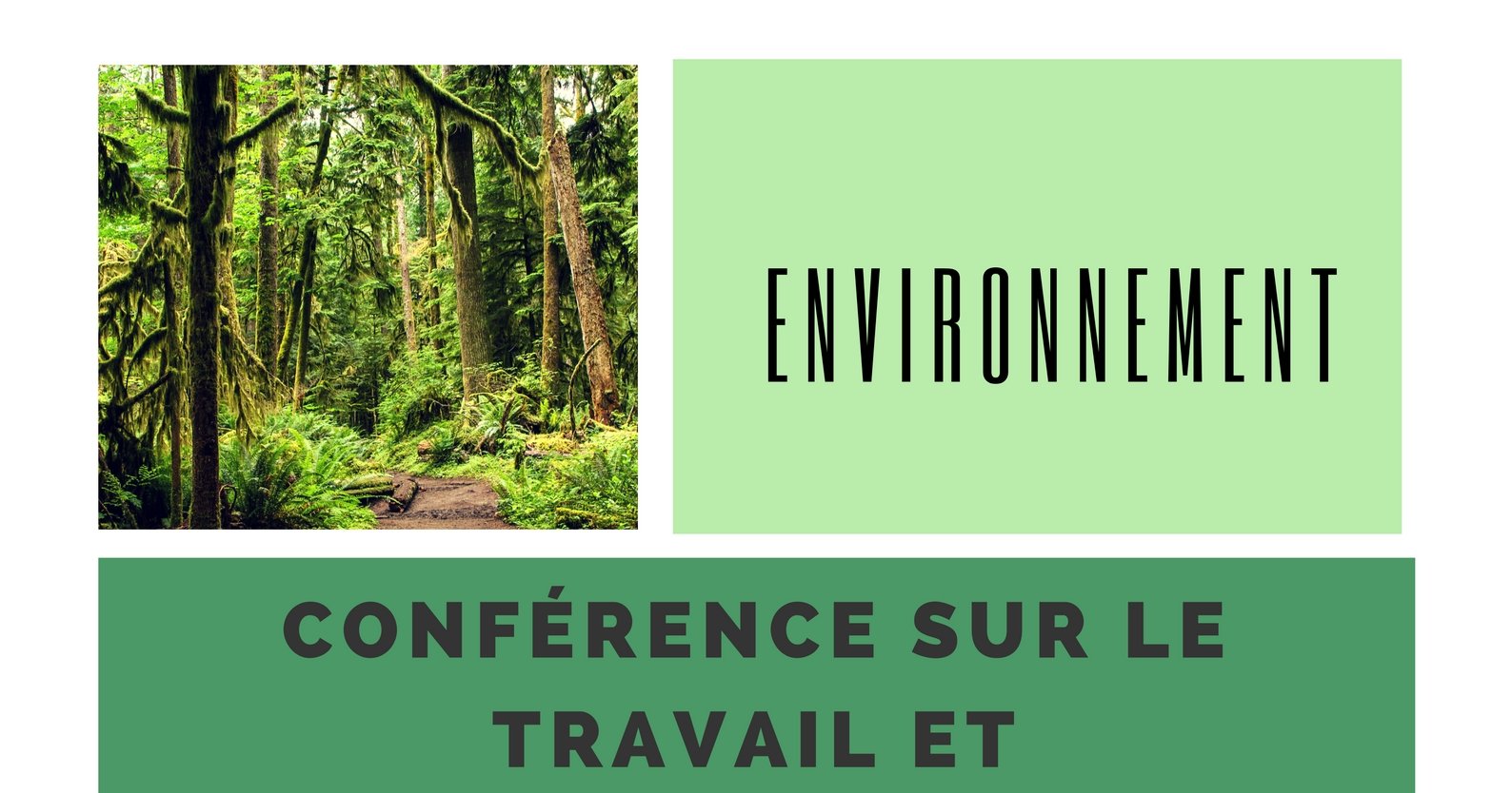 Le travail et l'environnement dans l'ALÉNA