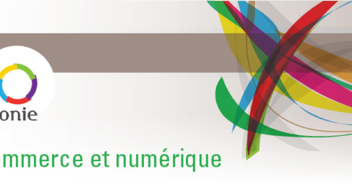 La culture dans l'agenda du développement : 4ème pilier ou objectif transversal ? 