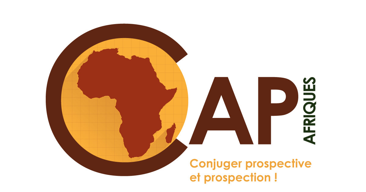 Appel à propositions | L'État dans les Afriques : État des lieux