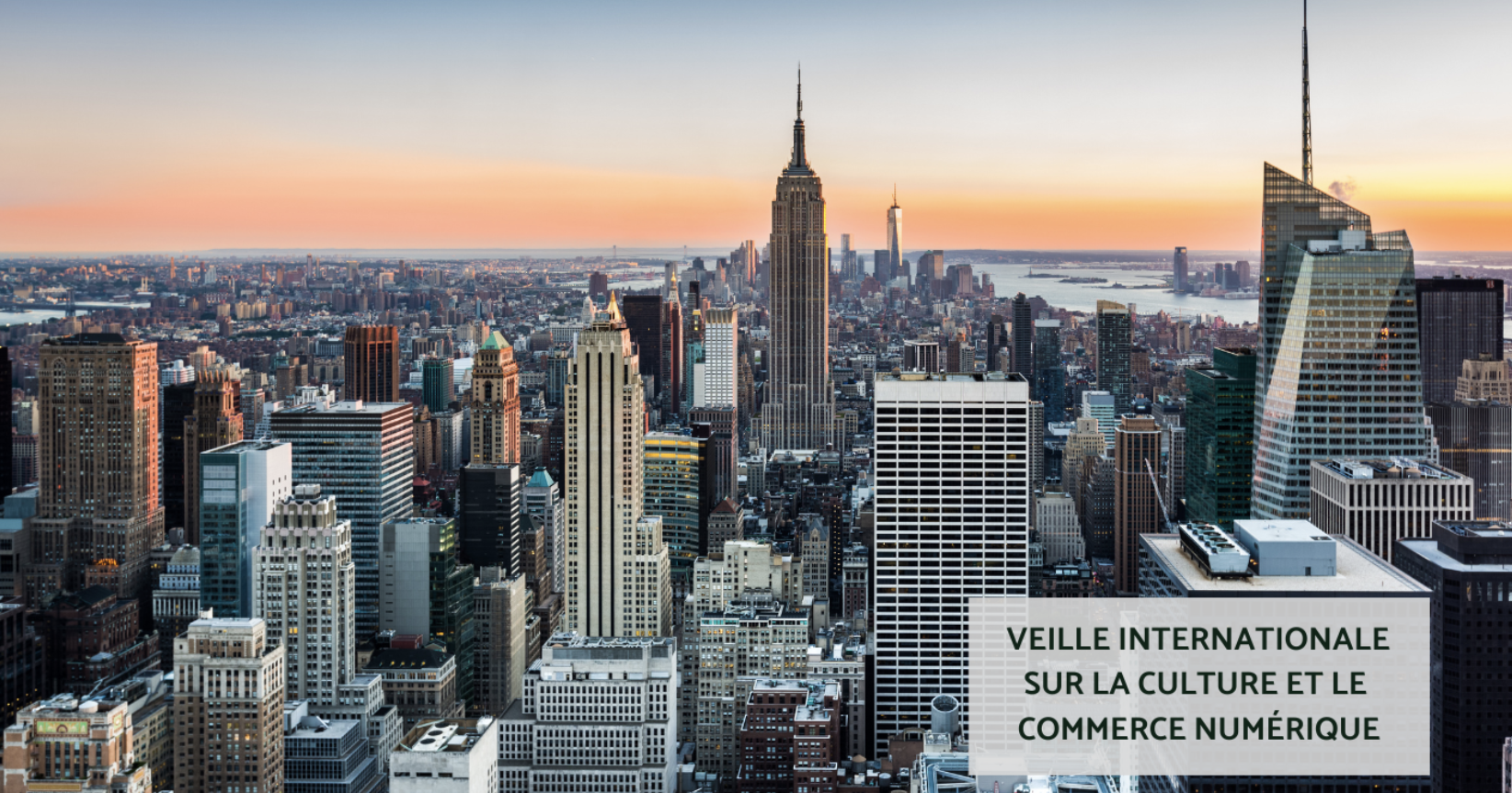 MESURES CULTURELLES SUR LES PLATEFORMES DE VOD SOUS LA PRESSION DE L'ADMINISTRATION TRUMP