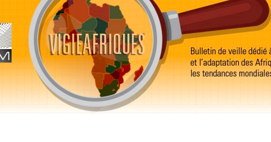 Centre d'analyse et de prospective sur les Afriques (CAP-Afriques)