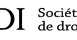 Organisations internationales. Droit et politique de la gouvernance mondiale