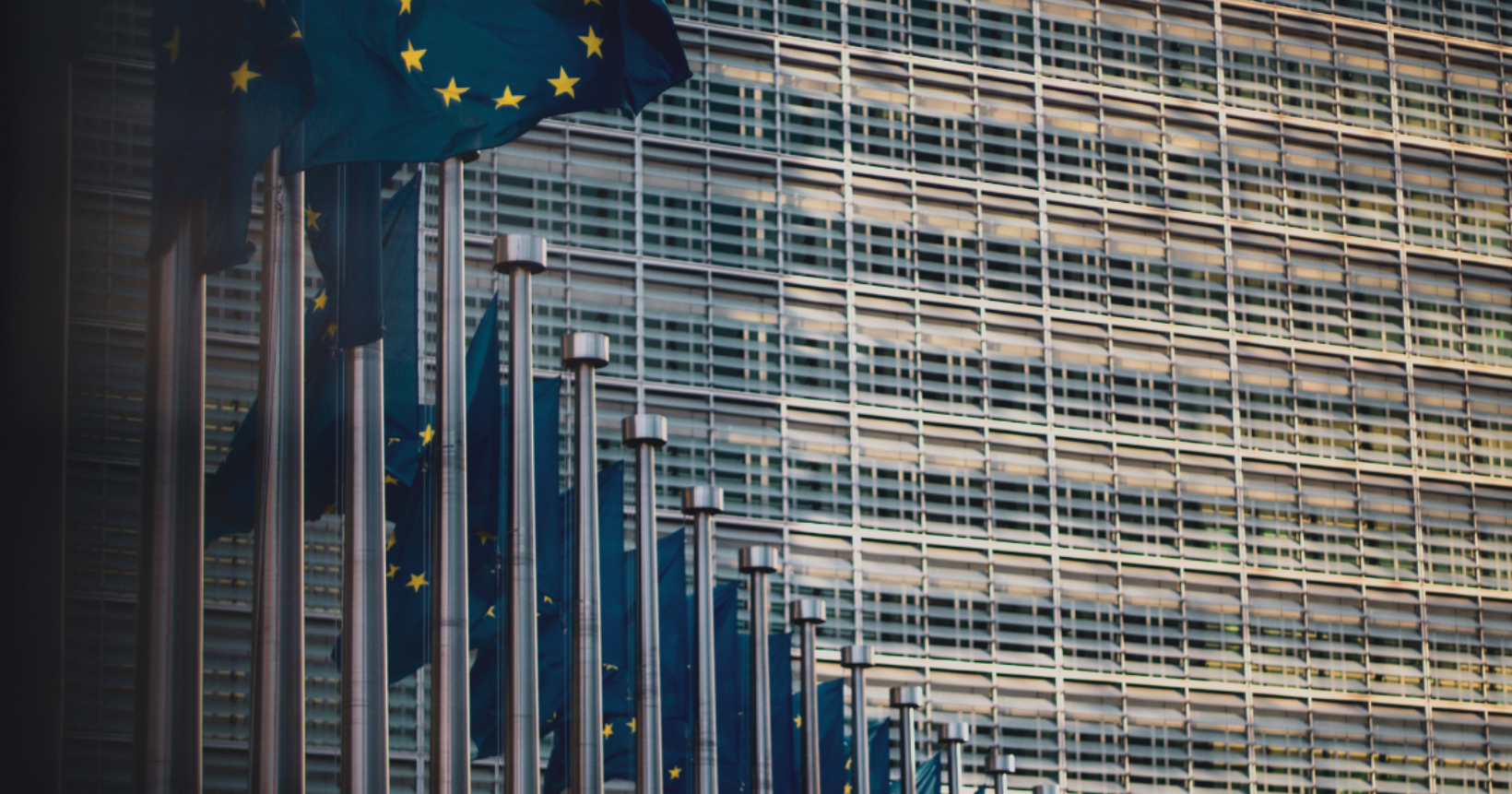 Les plateformes numériques : entre obligations de contenu et expansion mondiale