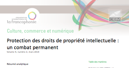 Protection des droits de propriété intellectuelle : un combat permanent 